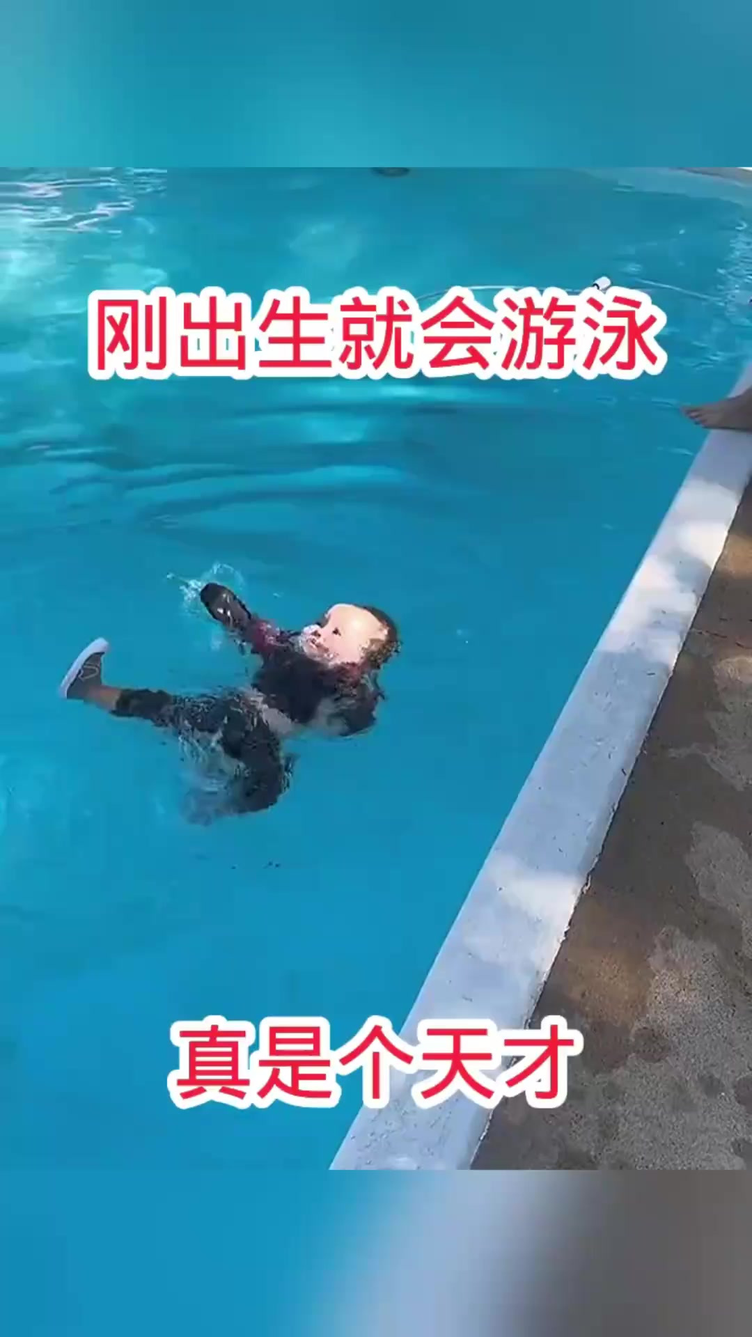 新西兰游泳奇才脱颖而出,成为焦点 新西兰游泳奇才脱颖而出,成为焦点