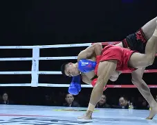 符腾汉姆小胜对手,针锋相对短兵相接 符腾汉姆小胜对手,针锋相对短兵相接