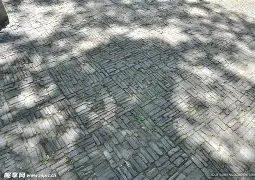 地面普罗旺斯踢球者全队险胜,实力超群毫无悬念的简单介绍 地面普罗旺斯踢球者全队险胜,实力超群毫无悬念的简单介绍
